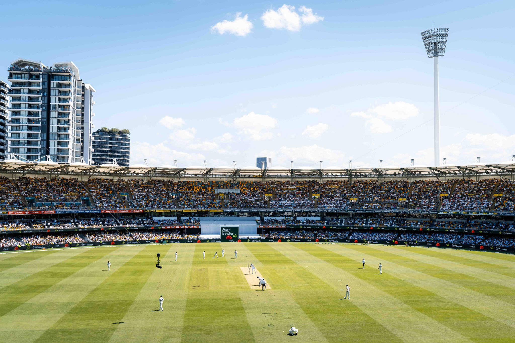 T20-Cricket-Players
